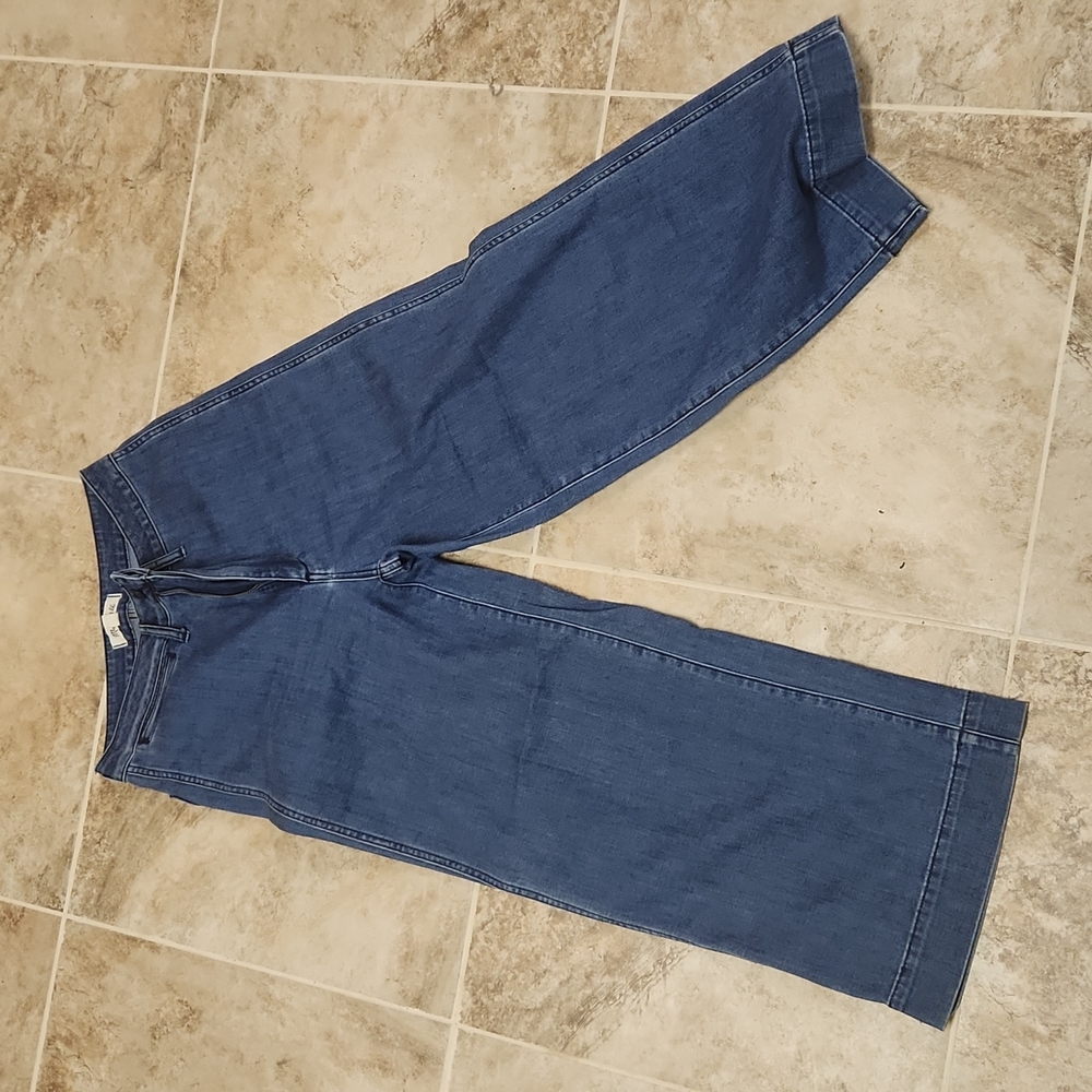 Madewell Blue Wide-Leg Jeans